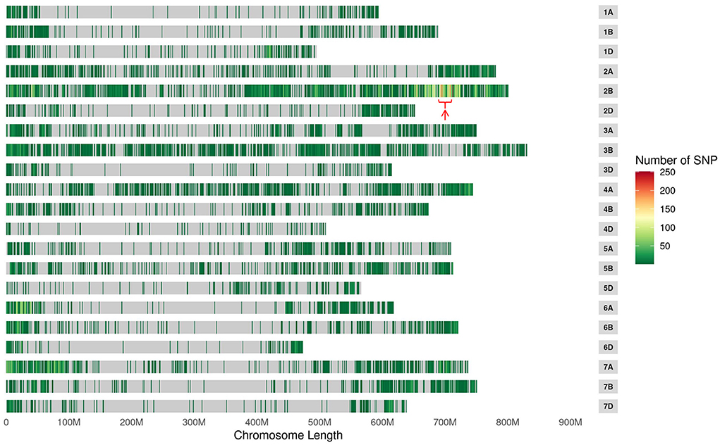 Temporal dissection of the roles of Atg4 and ESCRT in
