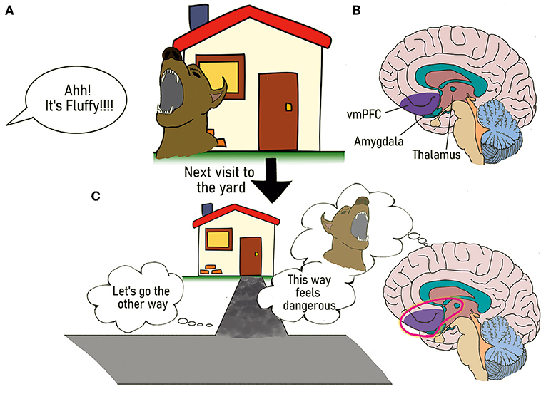 Figure 3 - The somatic marker hypothesis.