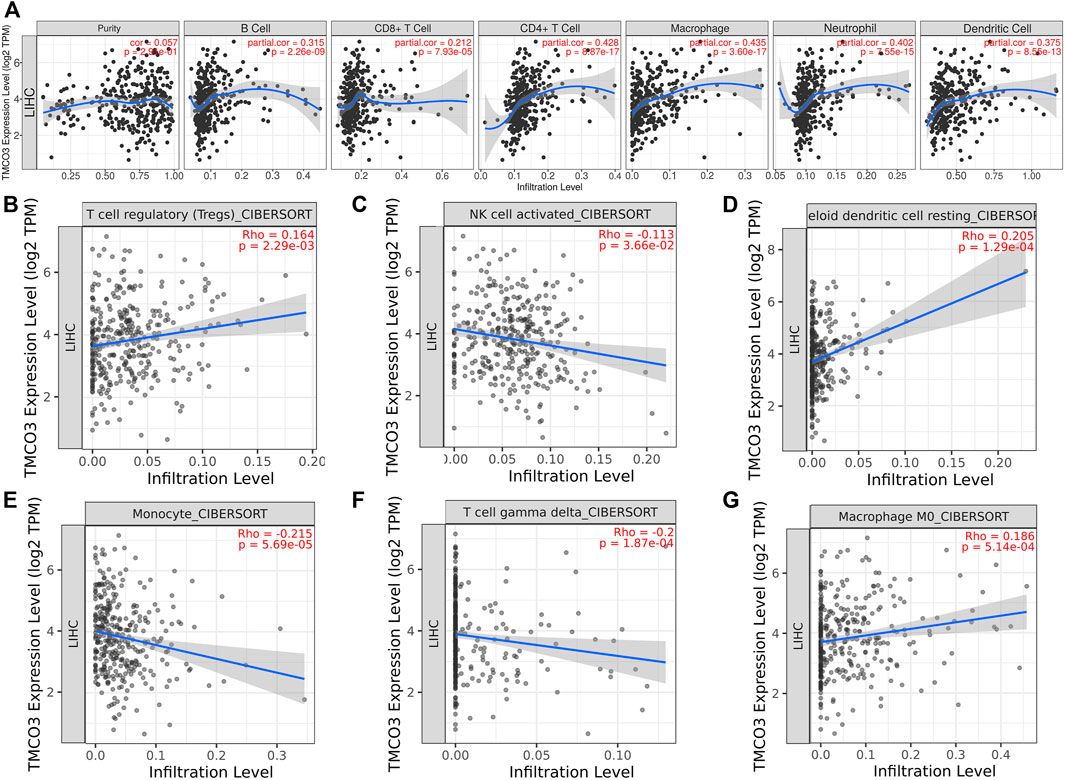 Frontiers Transmembrane and coiledcoil domains 3 is a diagnostic