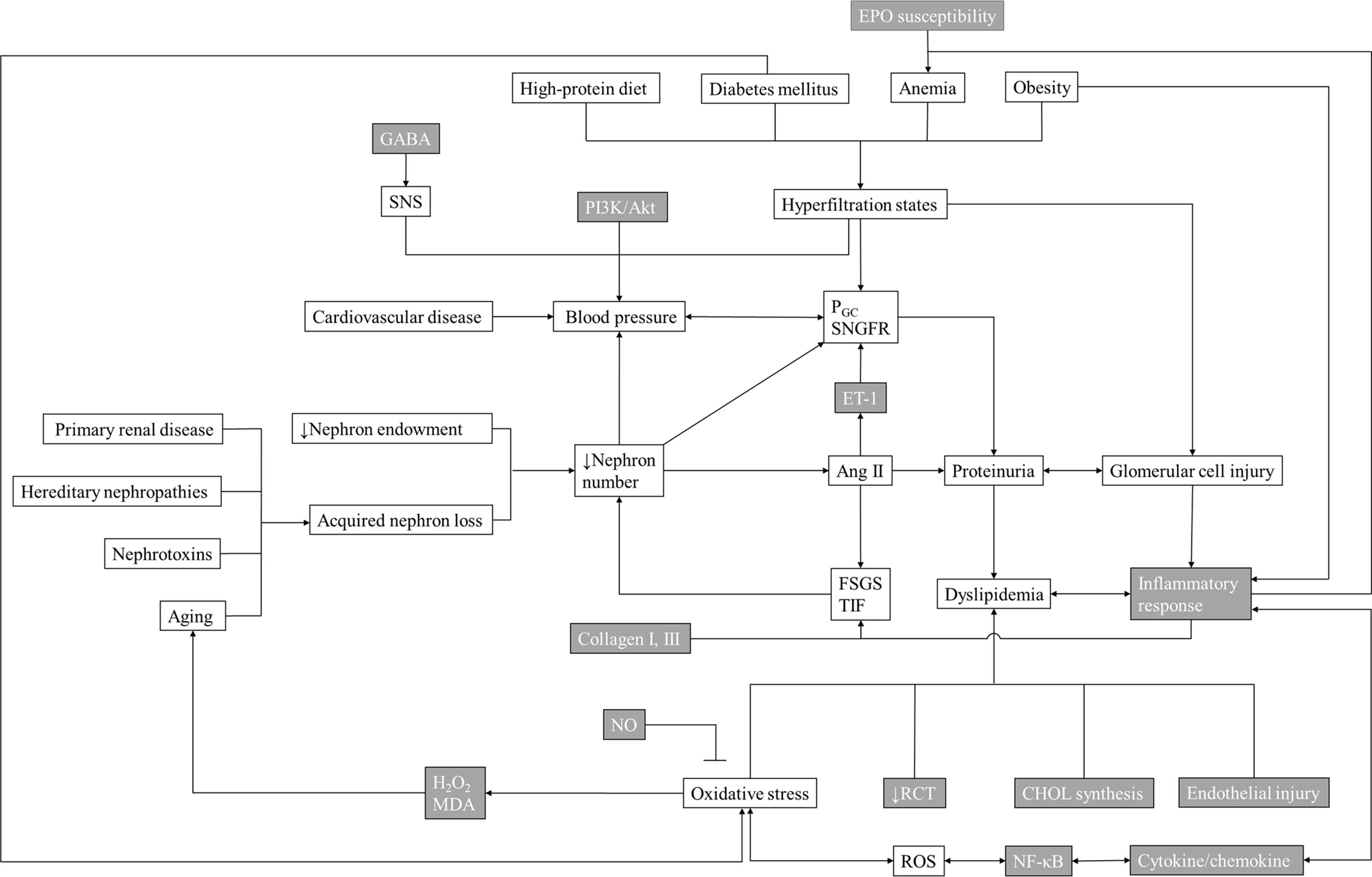 What Does Your Heart Desire? TCM and the Heart Organ System - Michigan  Associates of Acupuncture and Integrative Medicine