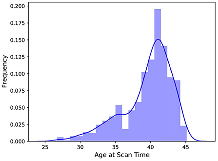 Frontiers  New insights on single-neuron selectivity in the era