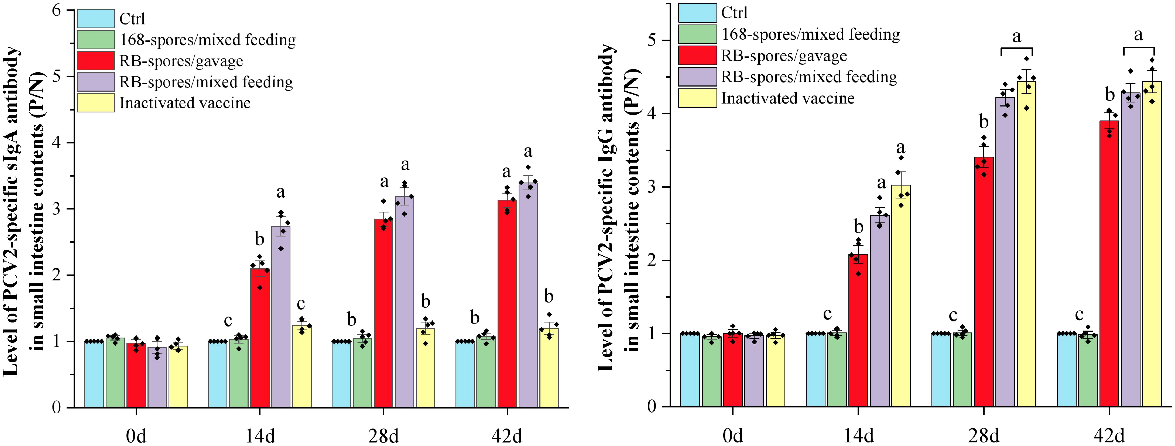 Frontiers  Porcine circovirus type 3: immunohistochemical detection in  lesions of naturally affected piglets