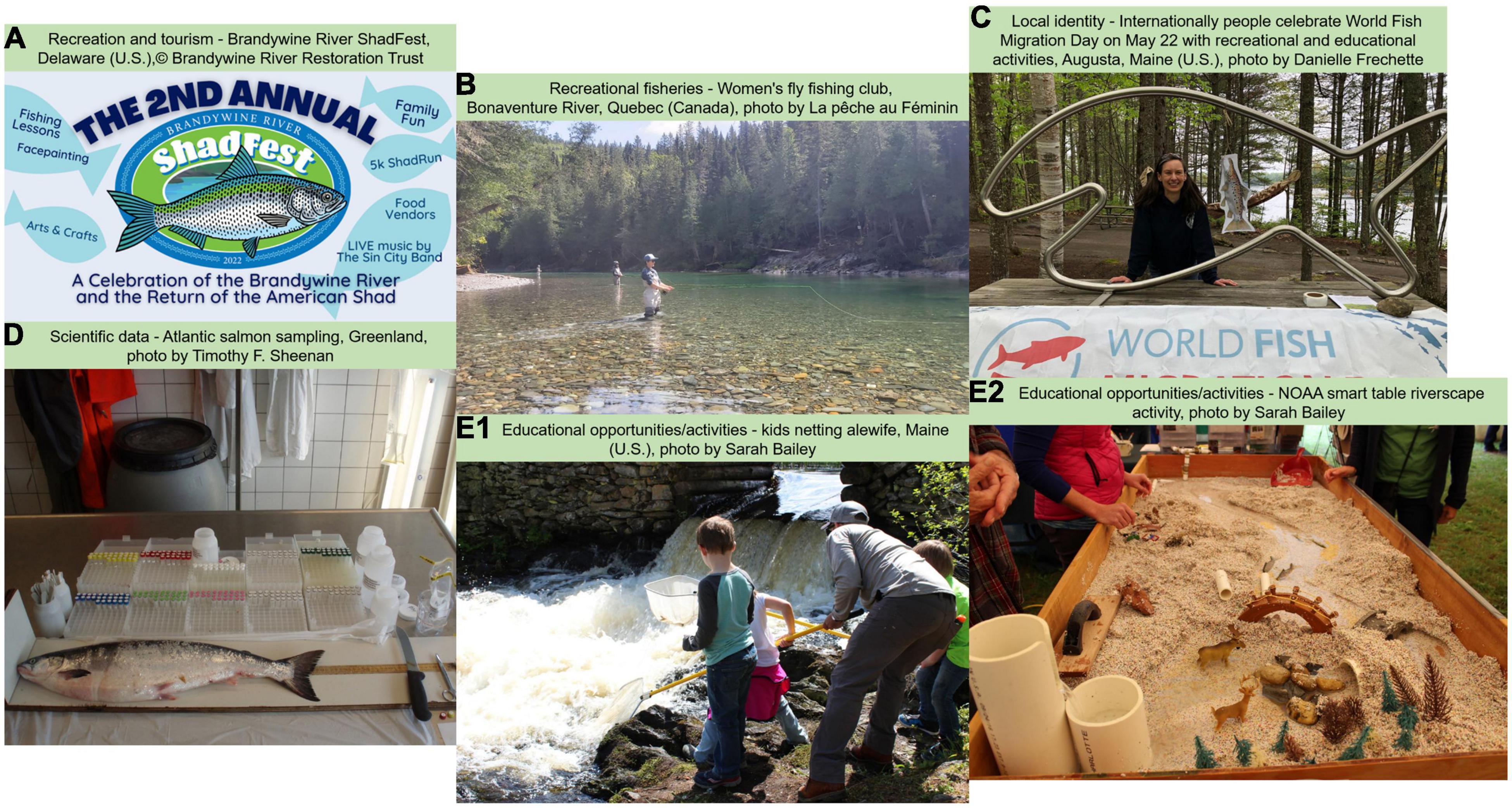 Frontiers  The diadromous watersheds-ocean continuum: Managing