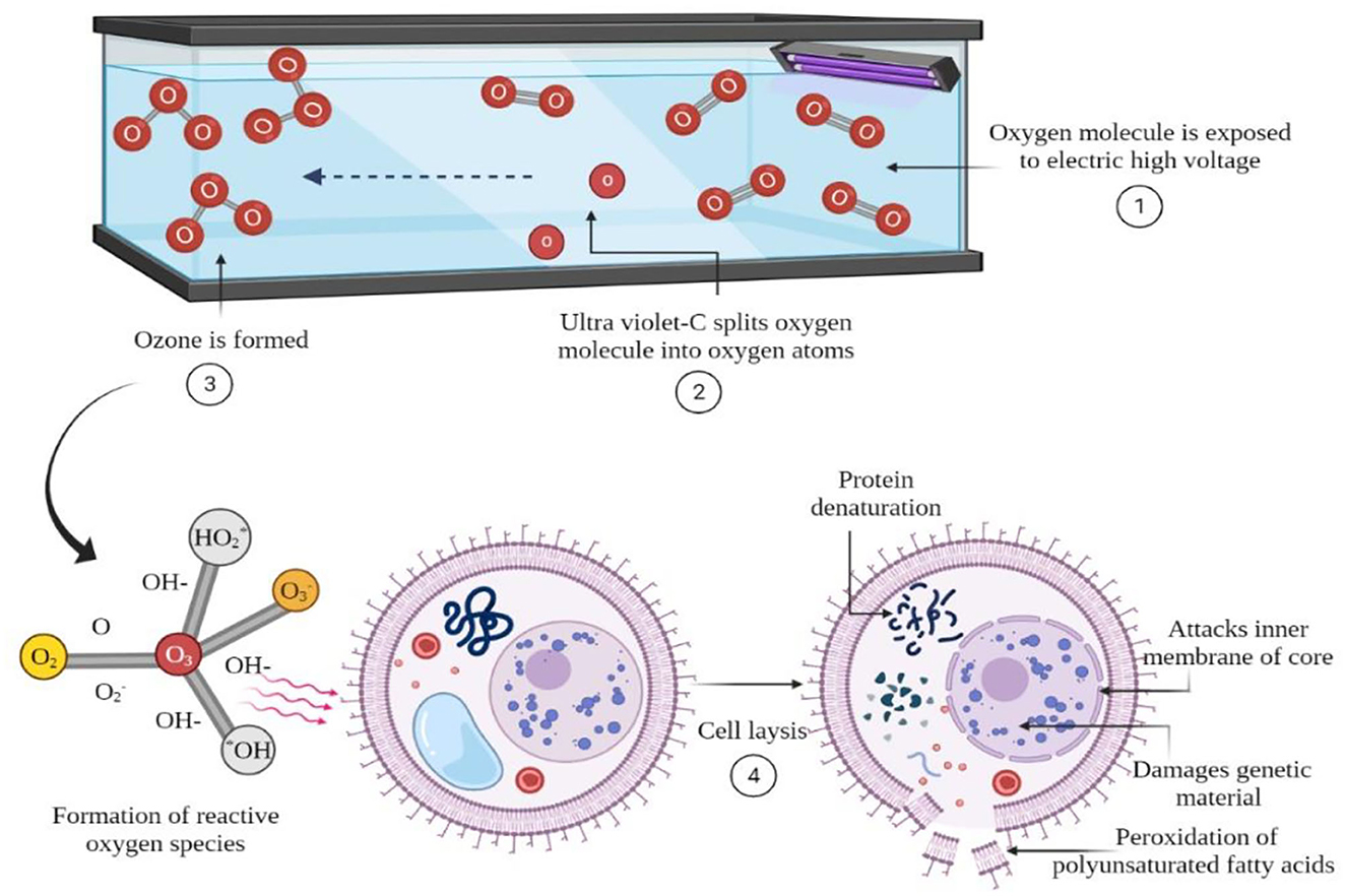 Degradation of crystal violet (CV) from aqueous solutions using ozone,  peroxone, electroperoxone, and electrolysis processes: a comparison study