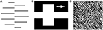 www.frontiersin.org