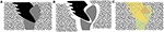 www.frontiersin.org