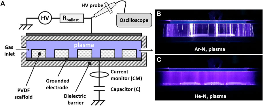 a) Schematic of an IMPC before Potential is applied (b) its Actuation