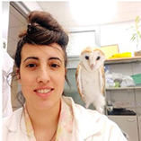 Hadar Beeri