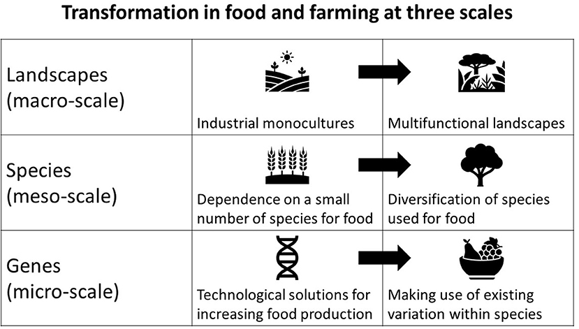 Frontiers  Catalyzing transformative futures in food and farming for  global sustainability