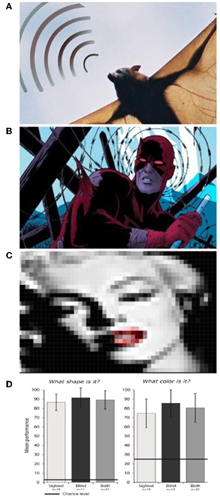 Figure 3 - (A) Bats have evolved the ability to “see” with their ears.