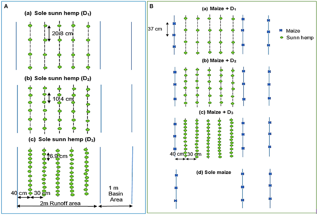 PDF) Effects of row spacing and intercrop on maize grain yield and forage  production of palisade grass