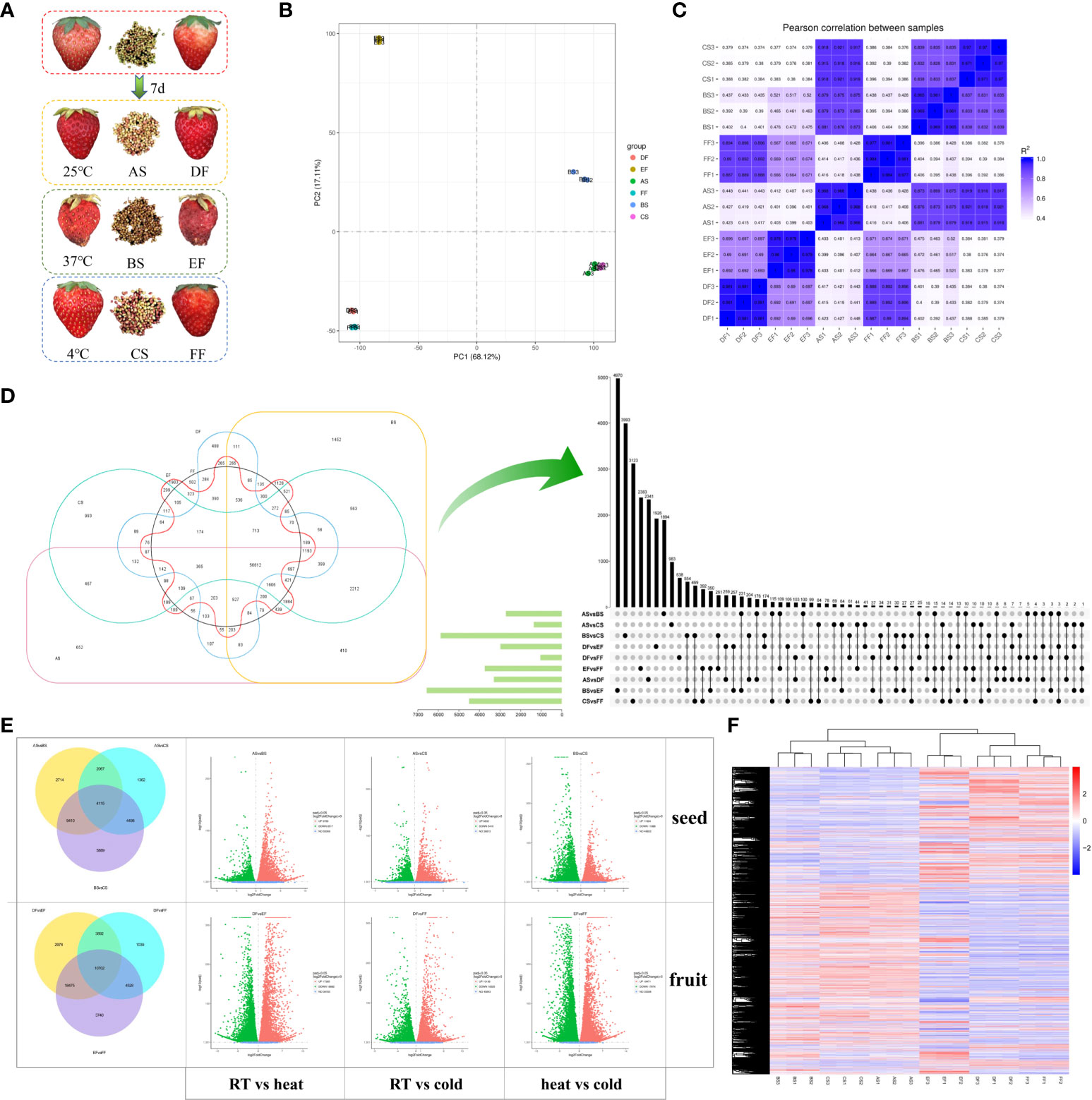 Transcriptomic and Metabolic Analyses Provide New Insights into the Apple  Fruit Quality Decline during Long-Term Cold Storage