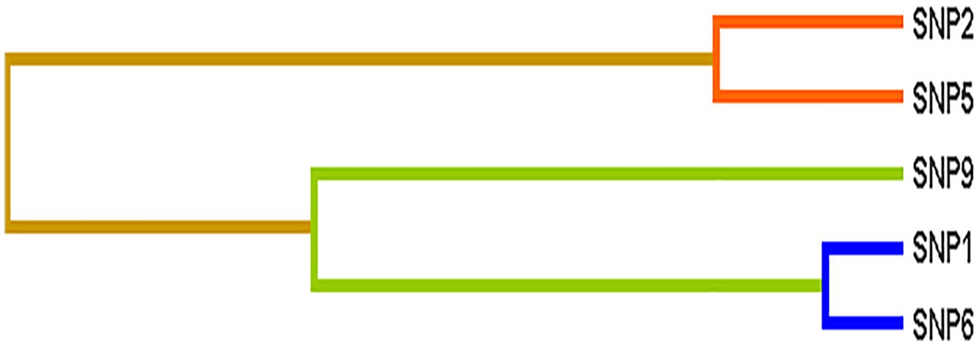 www.frontiersin.org