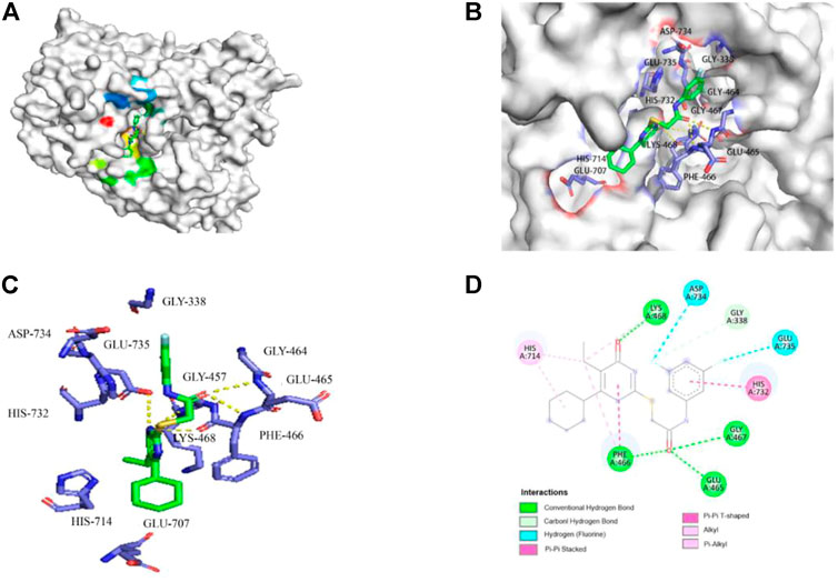 Frontiers | Identification of 6ω-cyclohexyl-2-(phenylamino 