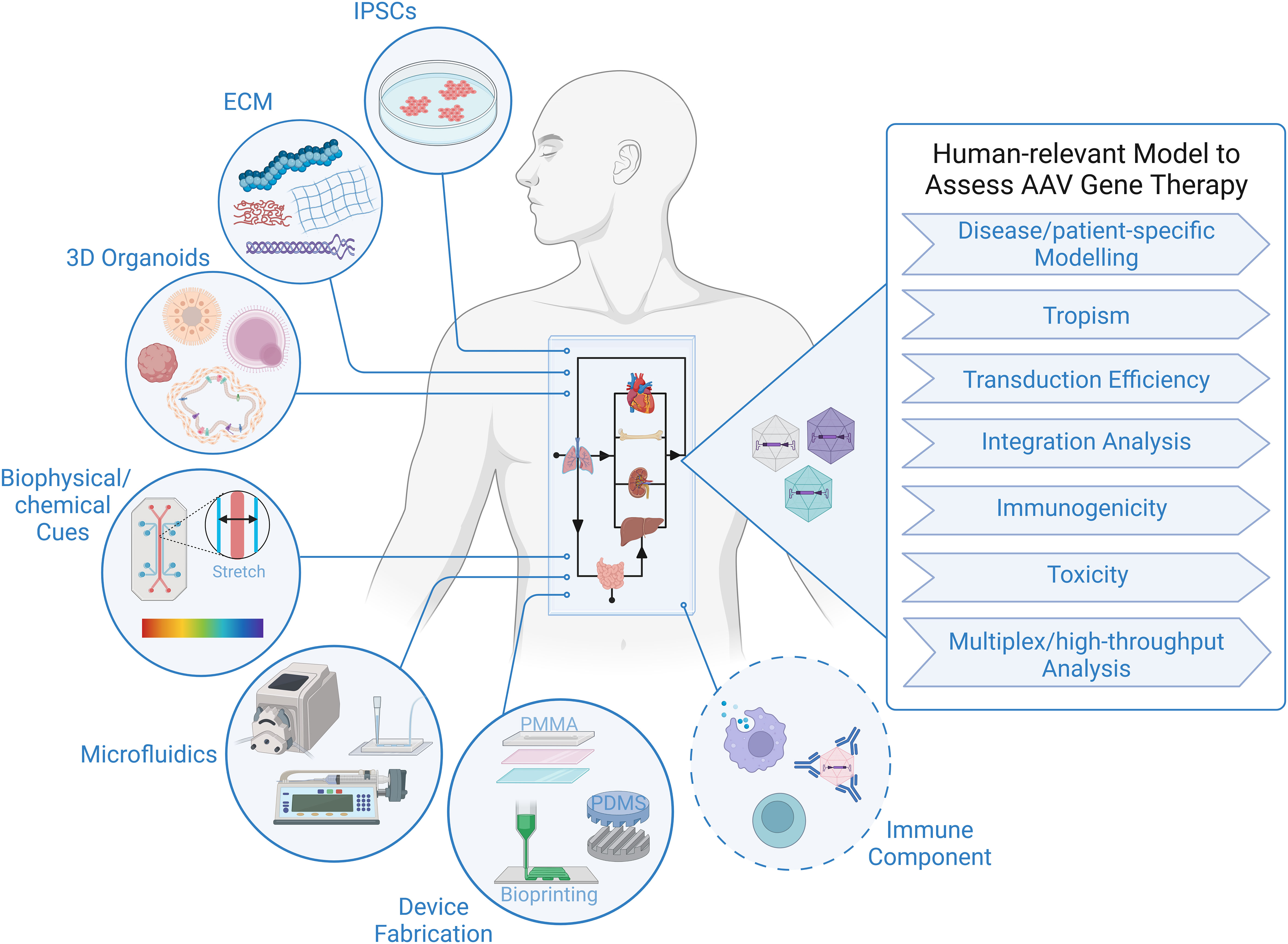 future research on gene therapy