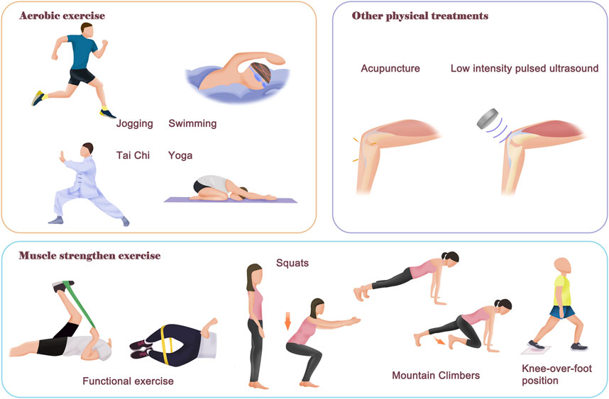 knee arthritis exercises