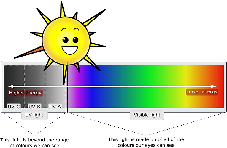 Figure 2 - Most of the light on Earth comes from the sun.