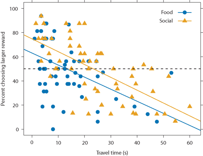 Frontiers | Spatial Discounting of Food and Social Rewards in Guppies ...