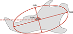 www.frontiersin.org