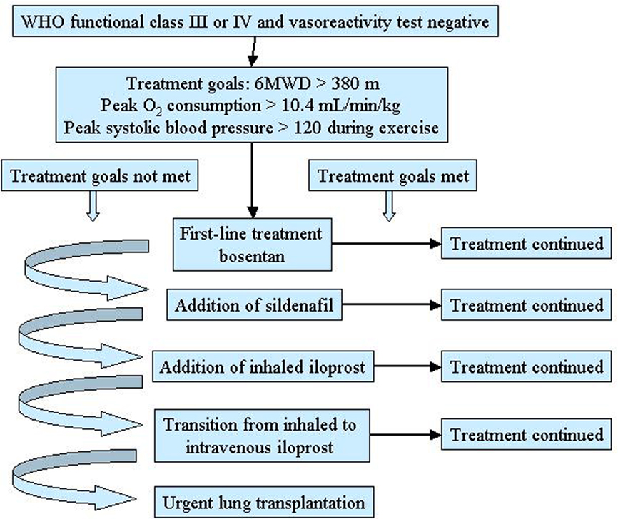 Frontiers Therapeutic Strategies in Pulmonary Hypertension