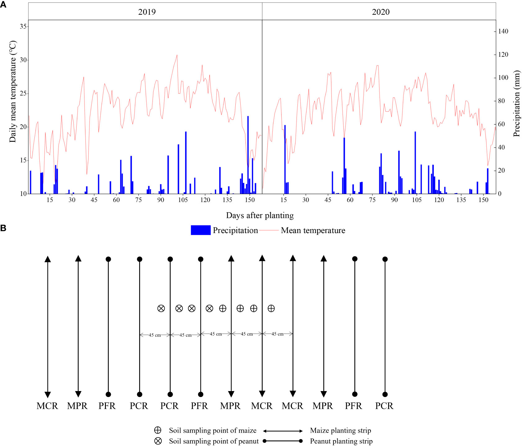 Frontiers | Photosynthetic and yield responses of rotating