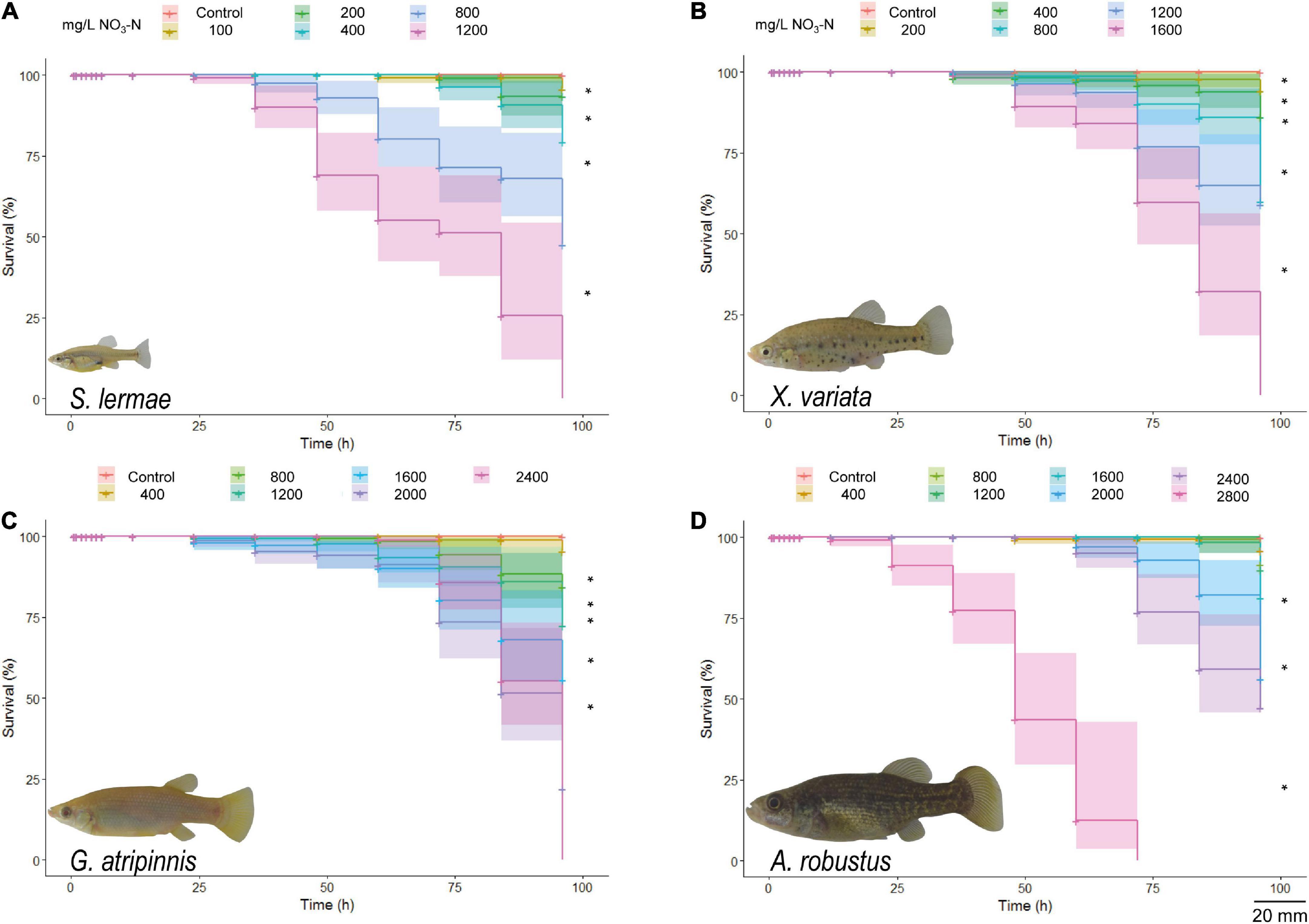 Ecology, Evolution, and Behavior of Viviparous Fishes