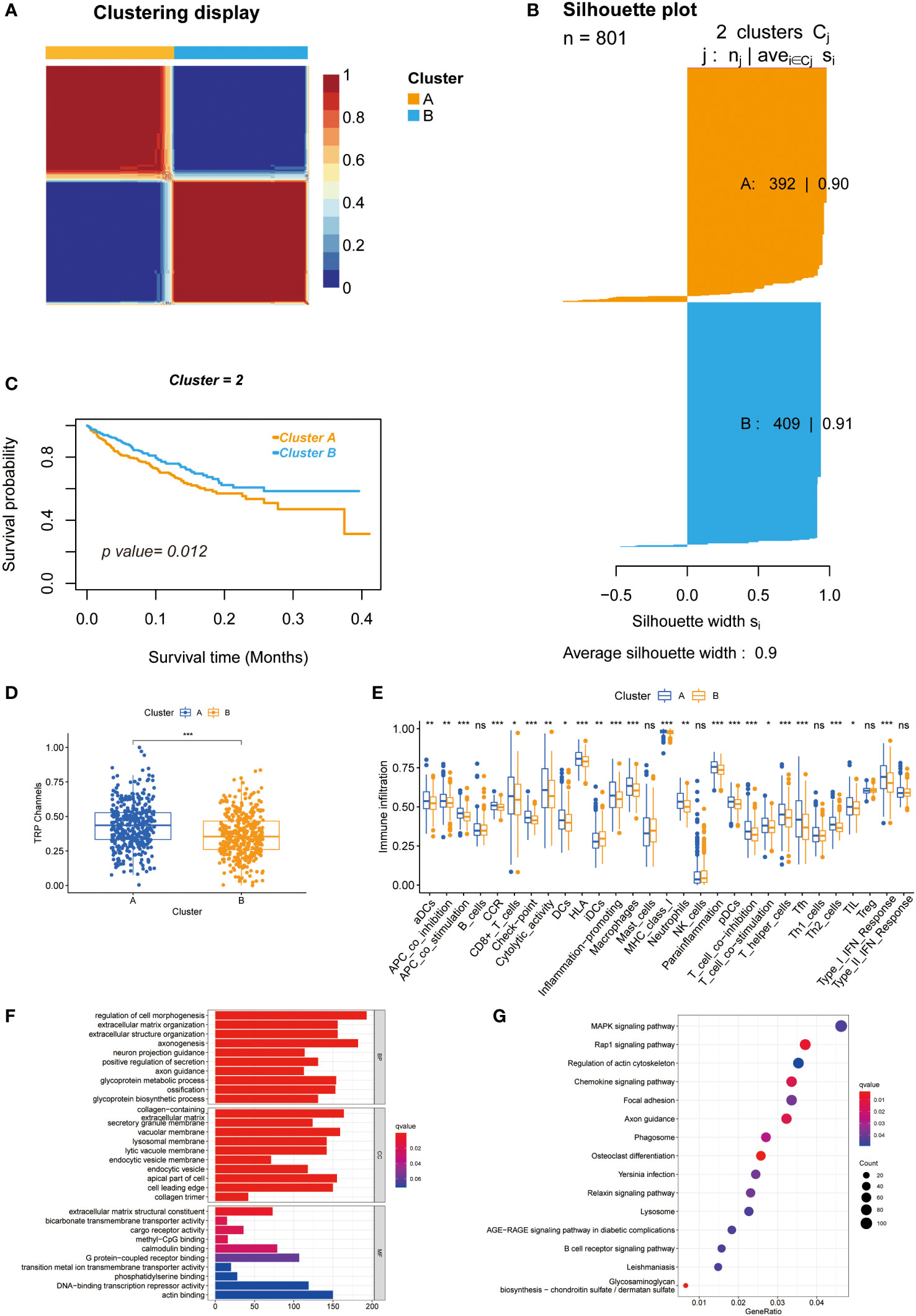 Frontiers | Comprehensive analysis of transient receptor
