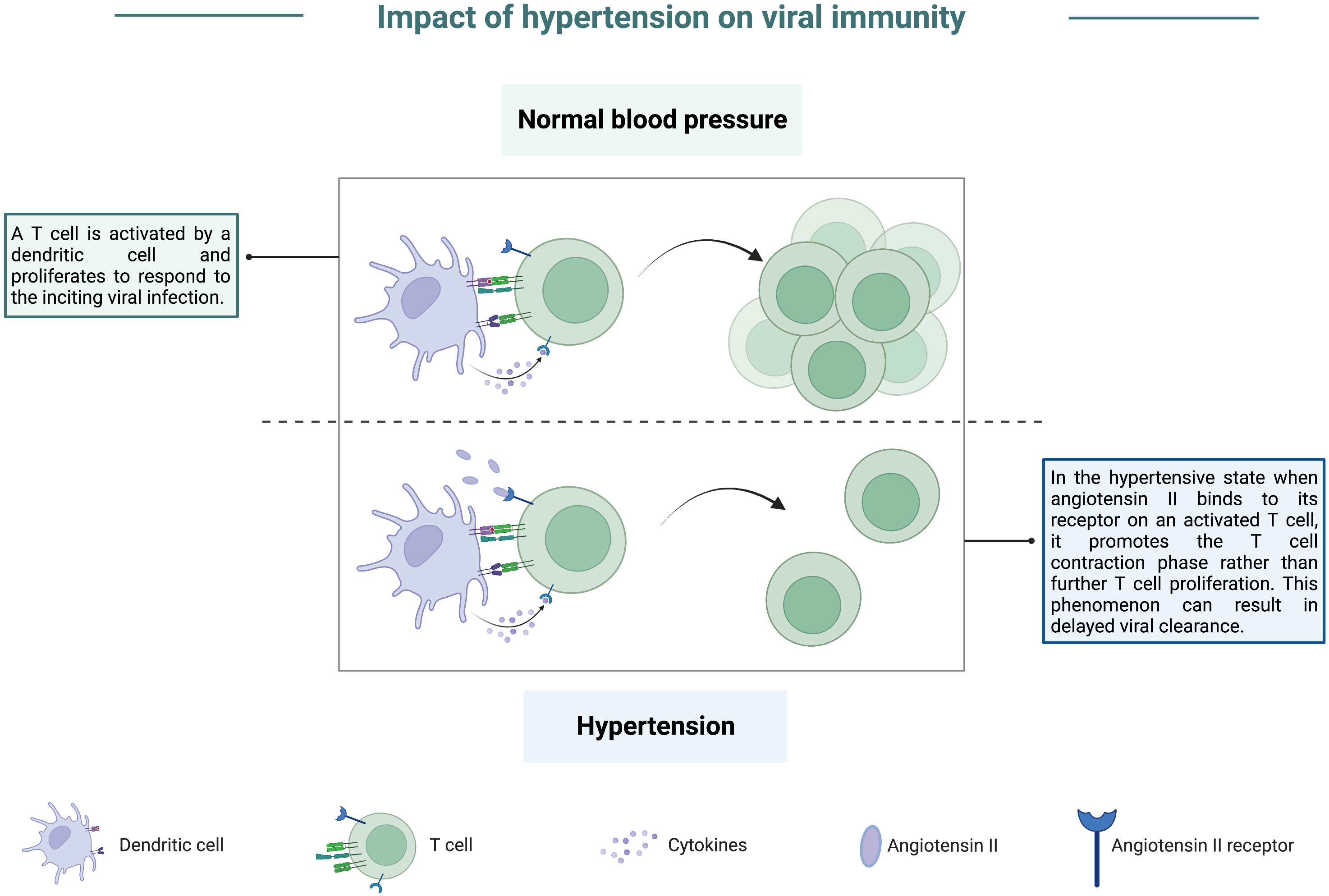 Frontiers | Metabolic syndrome and aberrant immune responses
