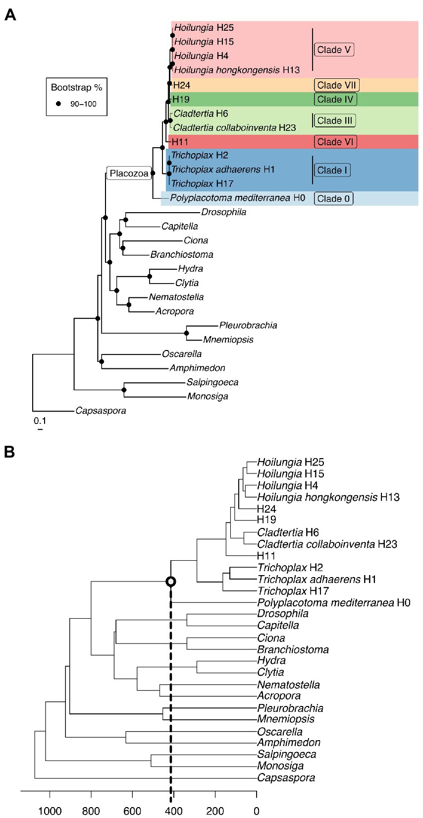 New method for taxonomic descriptions with coded notation