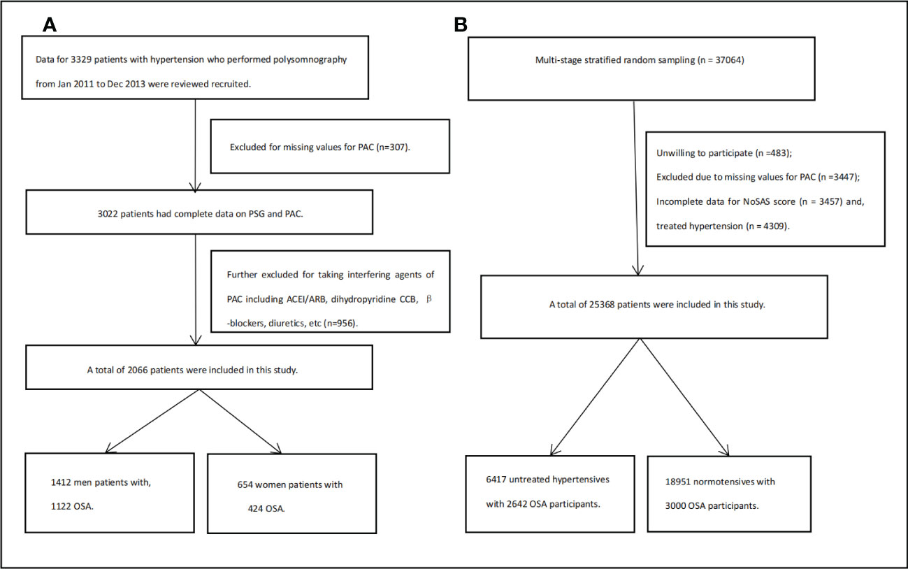 Frontiers  Effect of the renin-angiotensin system on the exacerbation of  adrenal glucocorticoid steroidogenesis in diabetic mice: Role of  angiotensin-II type 2 receptor