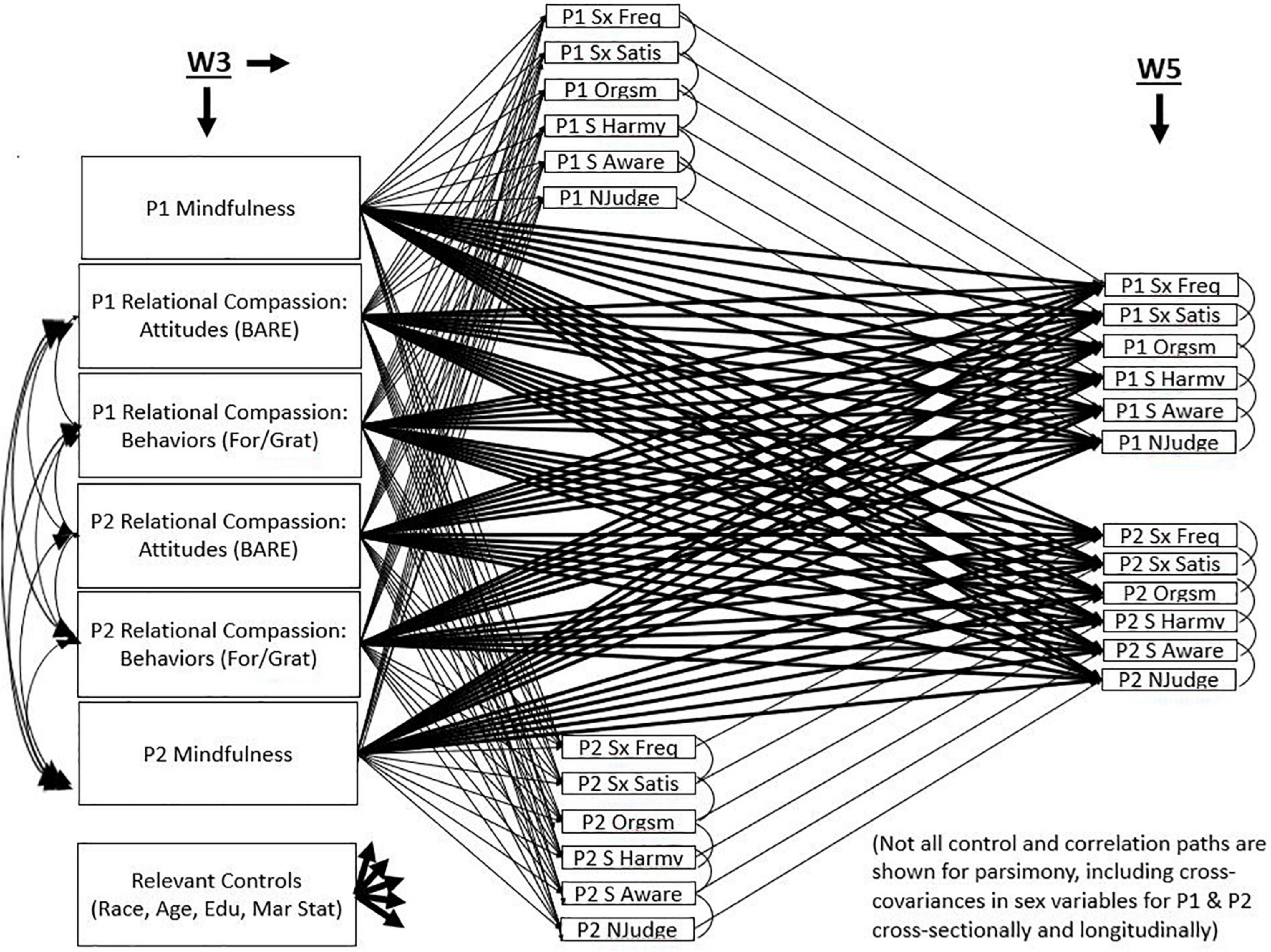 Frontiers “Feeling It” Links between elements of compassion and sexual well-being photo