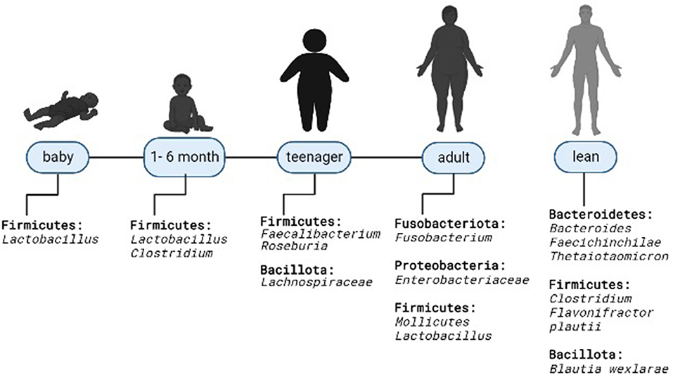 Frontiers  New Insights Into Microbiota Modulation-Based