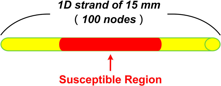 www.frontiersin.org