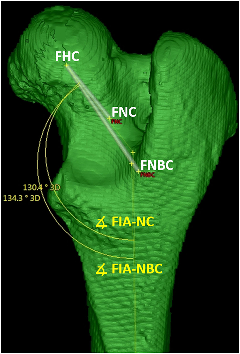 www.frontiersin.org