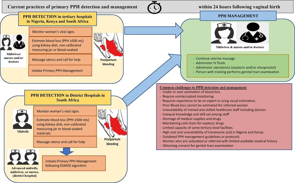 Understanding Barriers, Gaps in Women's Primary Care Quality