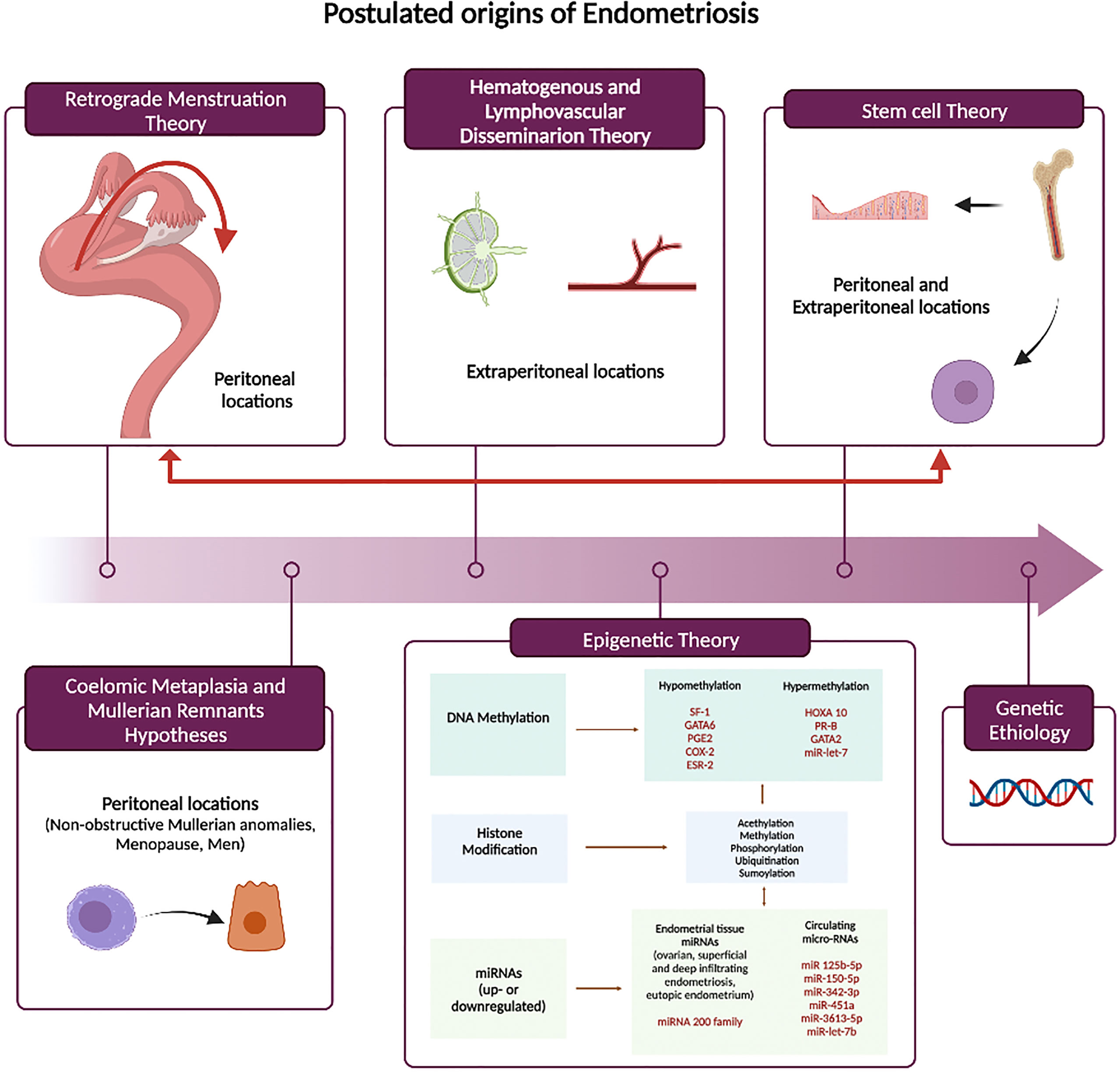 A case report of thoracic endometriosis – A rare cause of