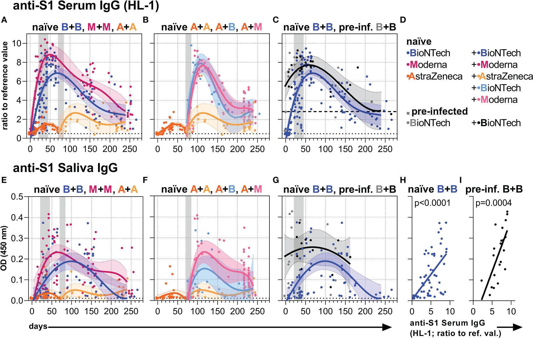 ELISA analysis of sera immunoglobulin (Ig)G dynamics. The data