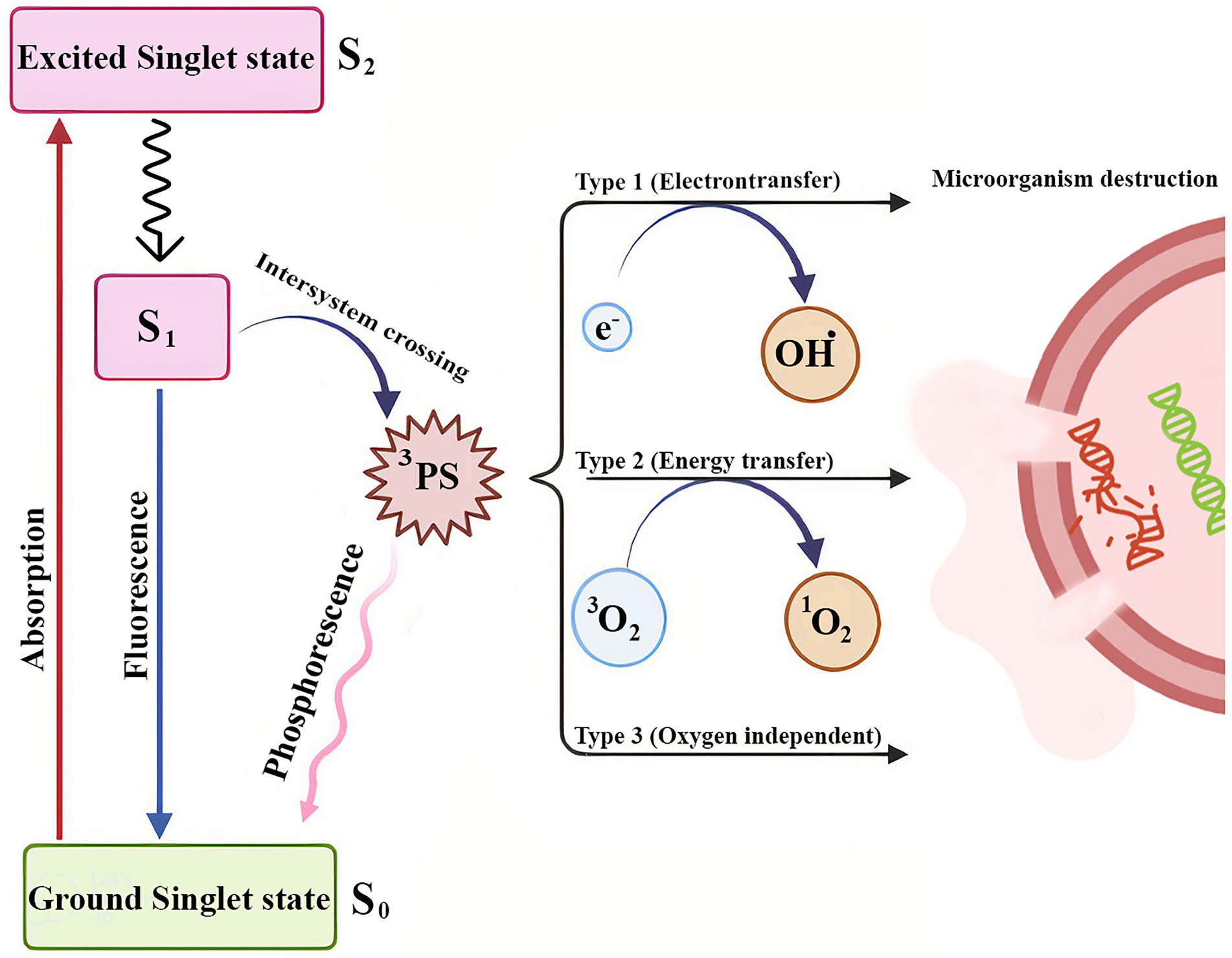 Root Canal Disinfection Using Highly Effective Aggregation-Induced