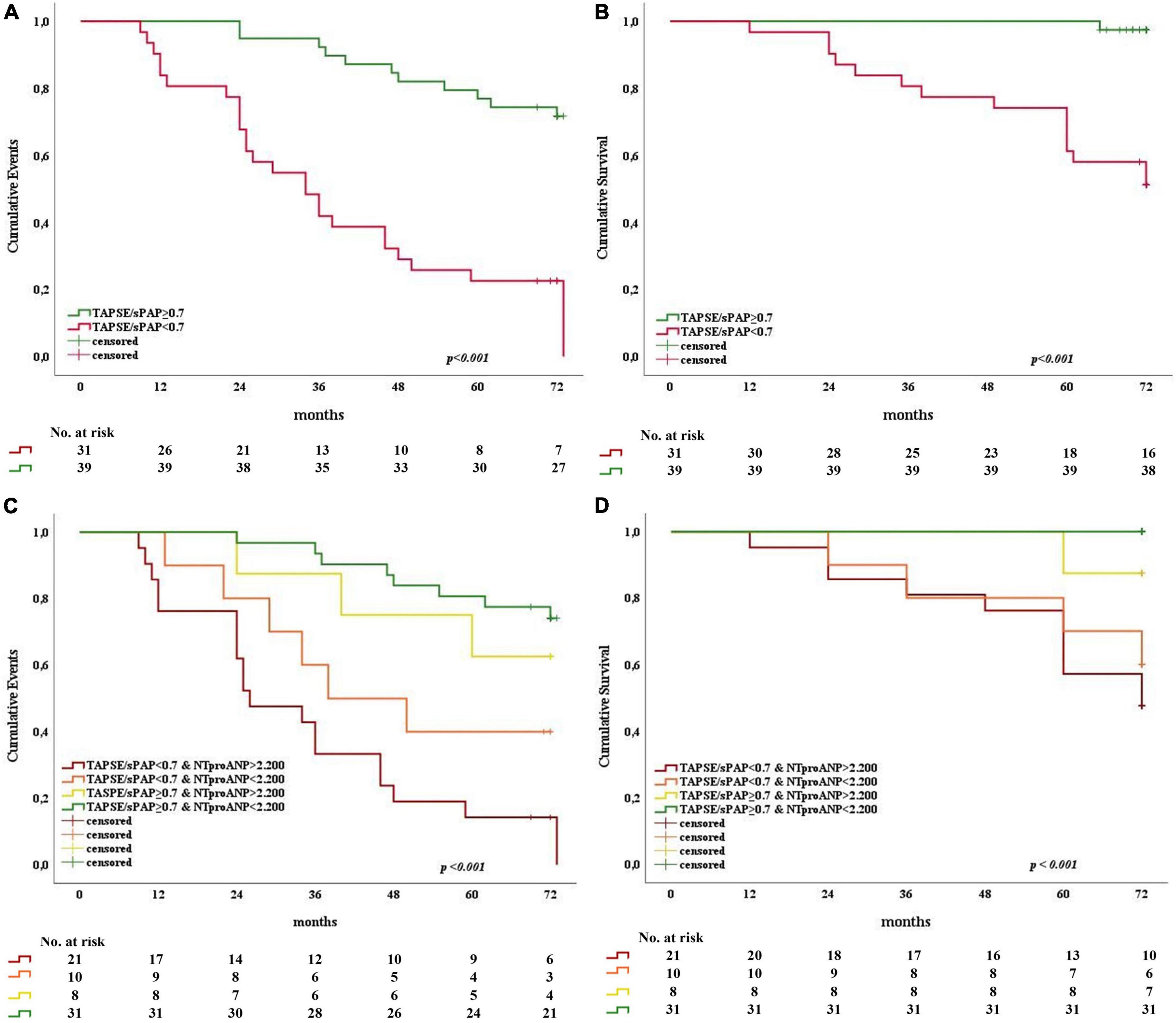 Validation of the Tricuspid Annular Plane Systolic Excursion