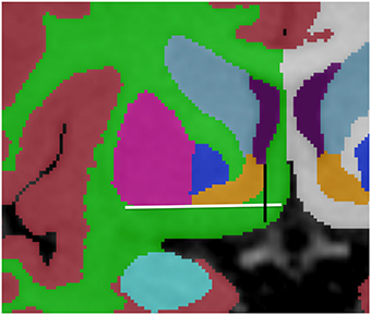 www.frontiersin.org