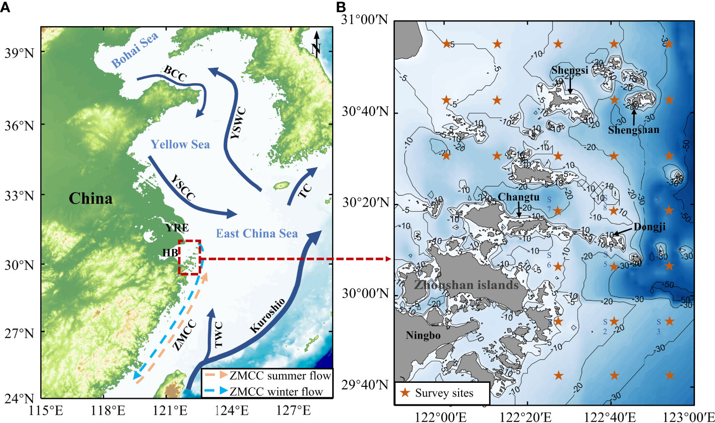 Spatial-temporal distributions of chlorophyll a content (μg/L) in