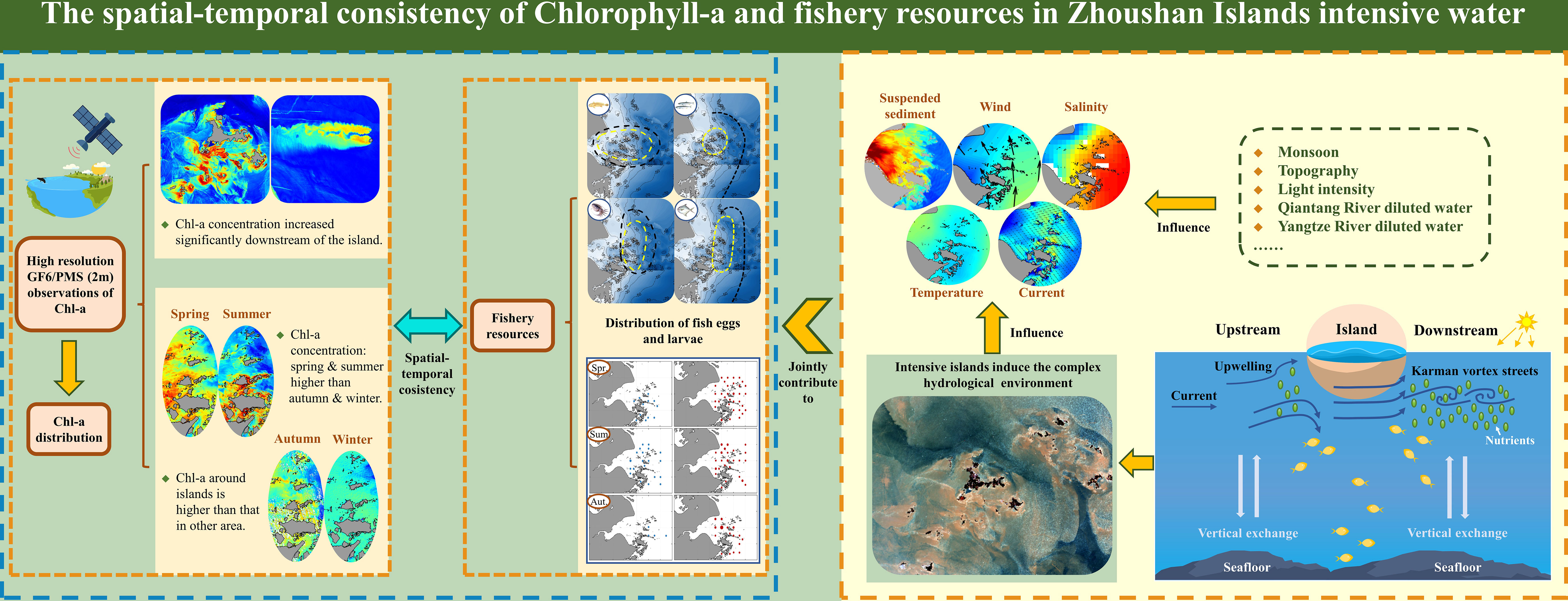 Spatial-temporal distributions of chlorophyll a content (μg/L) in