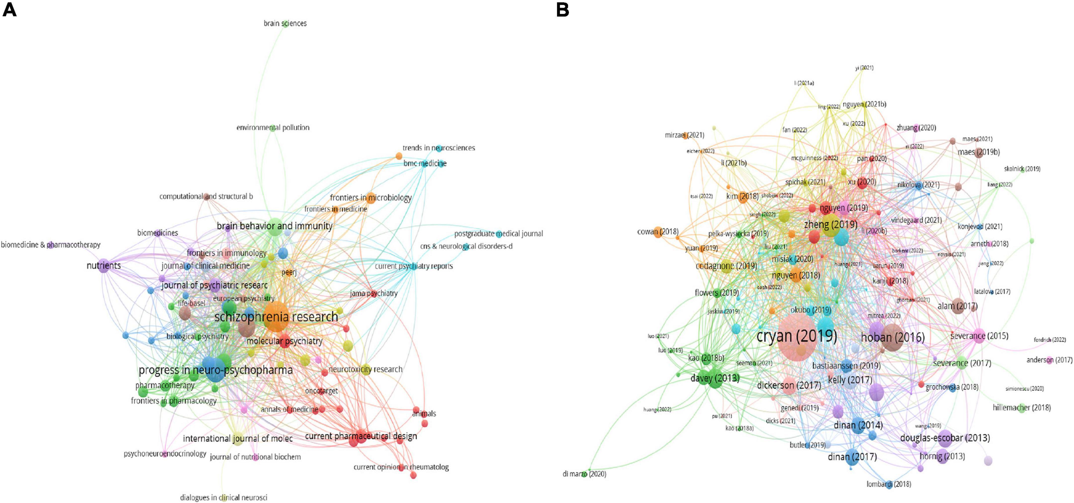 Schizophrenia and obesity: May the gut microbiota serve as a link for the  pathogenesis? - Wu - 2023 - iMeta - Wiley Online Library