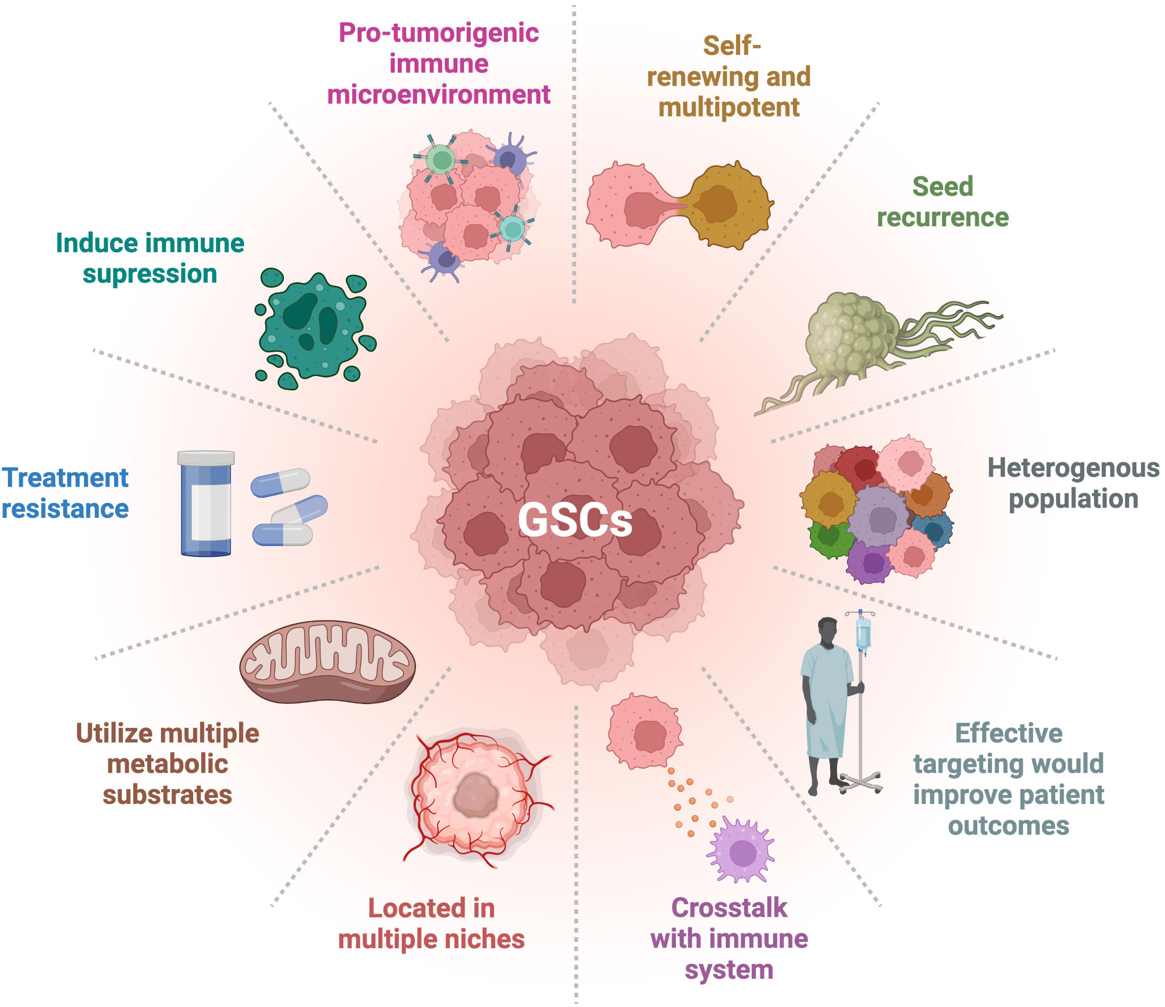 Cellular heterogeneity and immune microenvironment revealed by