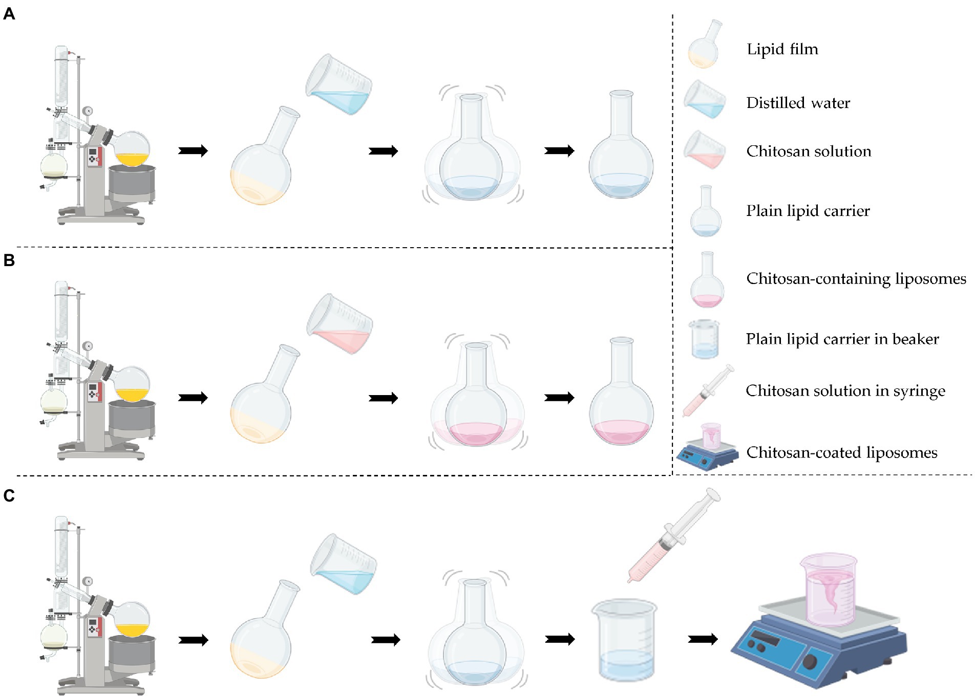 Frontiers | Chitosan-based delivery system enhances antimicrobial ...