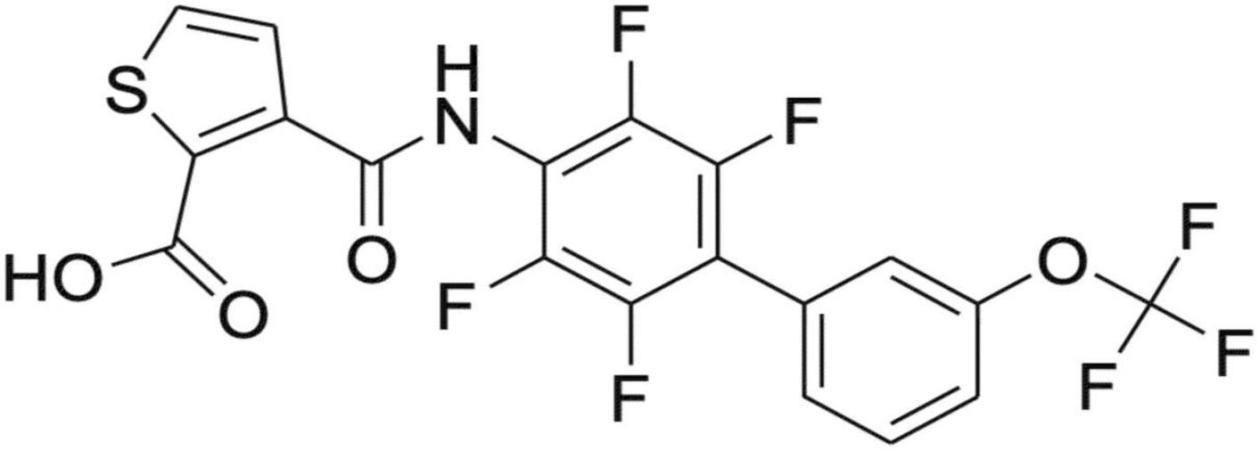 www.frontiersin.org