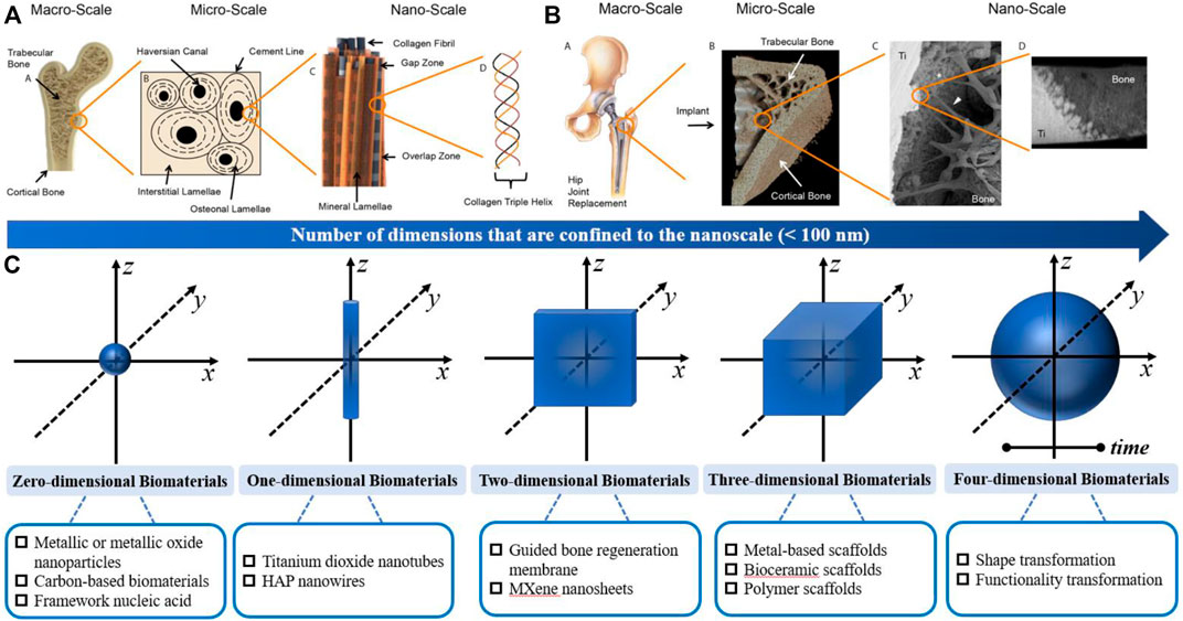 From Nano to Macro: Multiscale Materials for Improved Stem Cell