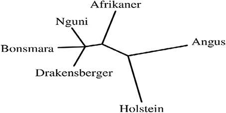www.frontiersin.org