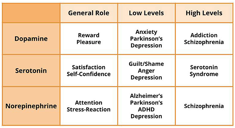 Figure 3 - The three main neurotransmitters associated with emotions are dopamine, serotonin, and norepinephrine.