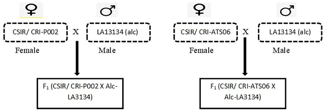 www.frontiersin.org